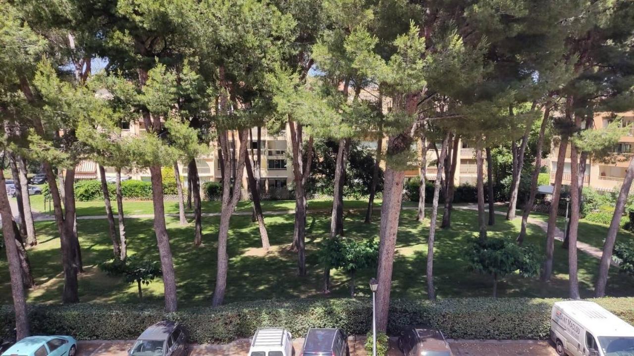 Bel Appartement Avec Piscine Proche Des Plages Six-Fours-les-Plages Esterno foto