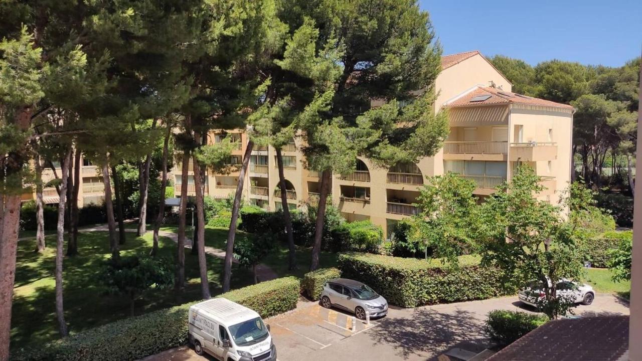 Bel Appartement Avec Piscine Proche Des Plages Six-Fours-les-Plages Esterno foto