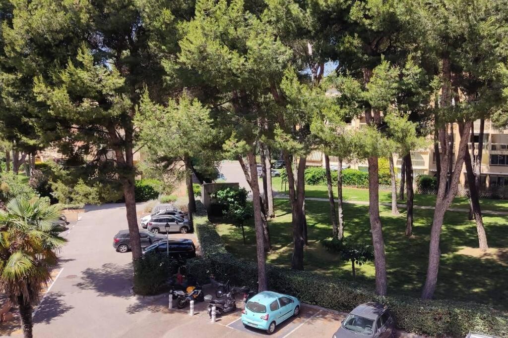 Bel Appartement Avec Piscine Proche Des Plages Six-Fours-les-Plages Esterno foto