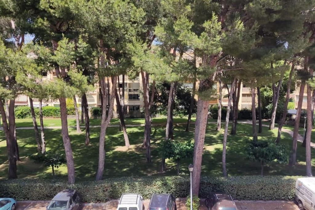 Bel Appartement Avec Piscine Proche Des Plages Six-Fours-les-Plages Esterno foto